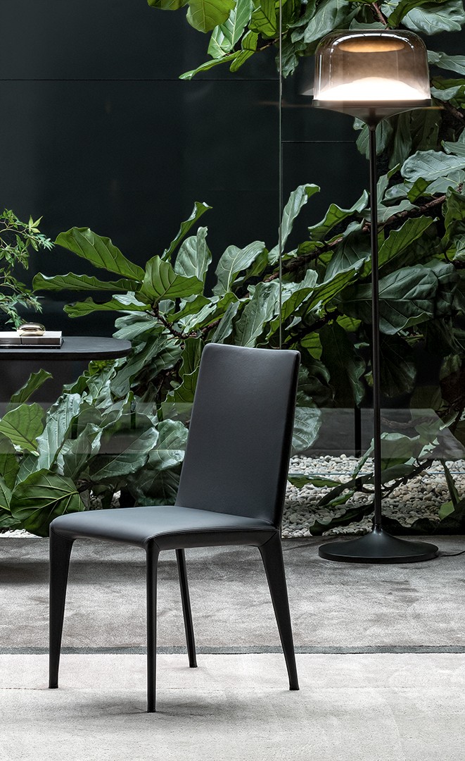 Filly, Filly up, Filly large, Filly large up, Miss Filly, Miss Filly up